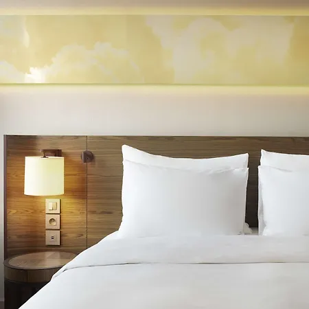 Radisson Blu Hotel, 4* Лион