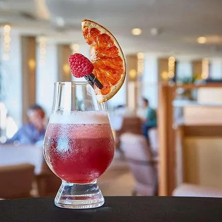 里昂丽笙酒店 酒店