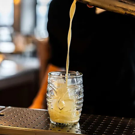 里昂丽笙酒店 4*