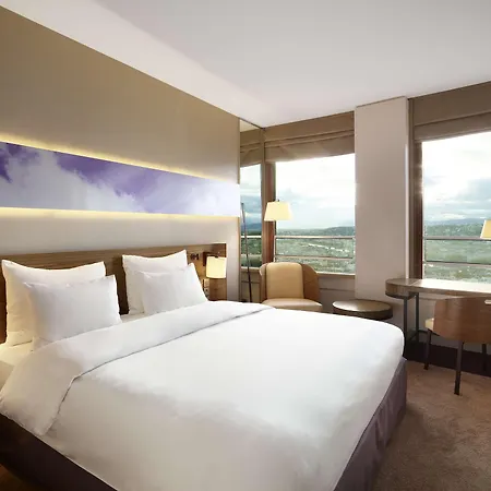 Radisson Blu Hotel, Hotel Lyon